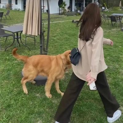 无法抗拒的男友们